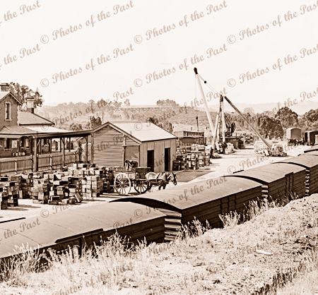 Harcourt Railway Station (near Bendigo), Victoria. c1920s