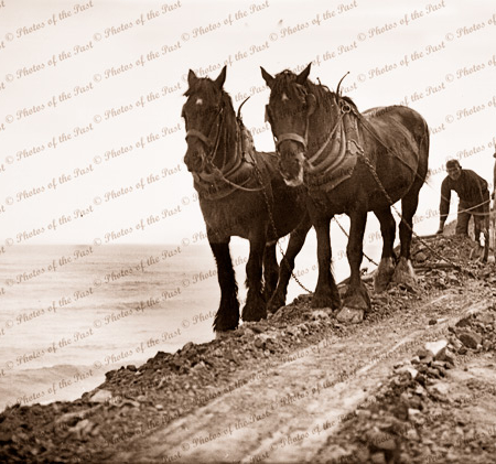 Two Clydesdale horses at work grading new road at the dangerous verge. Great Ocean Road. Victoria. c1920s-1930s