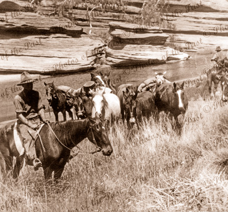 Stockmen on horses by waterhole. Scene from film "The Overlanders" 1946