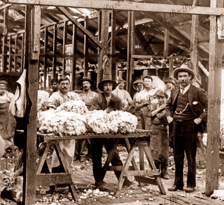 Wool Classing at Lake Victoria Station, NSW. c1905