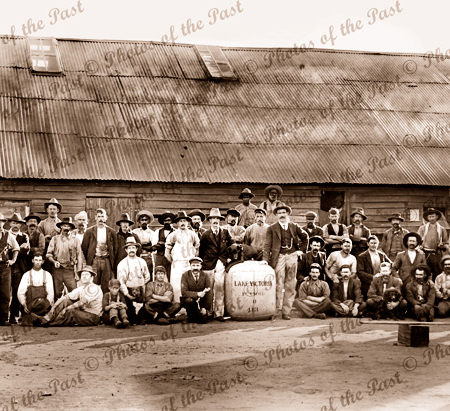 Shearers at Lake Victoria Station, NSW c1905