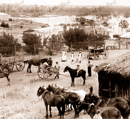 P. Drabich farm Loxton. S.A. c1910s. 1915? Horses and carts. Murray River