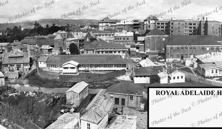 Panoramic view over Adelaide Hospital from top of Medical School. c1963.