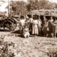 Grape pickers & grapes, Wattiparinga, Clovelly Park. S.A. 1952. Tractor